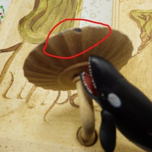 Tulipa Candle Sconce Mirror Portugal Wall Mount Distressed shabby Chic Cottage - Picture 10 of 11